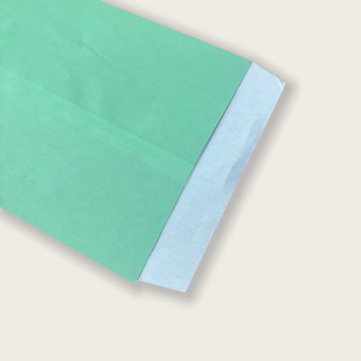 Blank Mint Greeting Card
