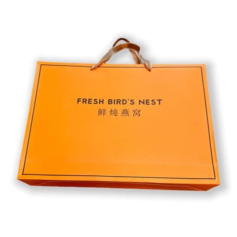 Ribbon Handle Color Printed Gift Paper Bag